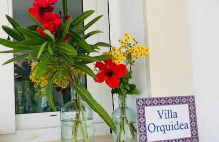 Villa Orquidea - Photo 3