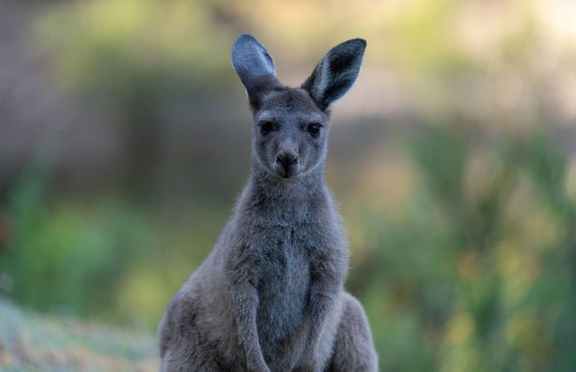 Noble River Estate - Photo 65