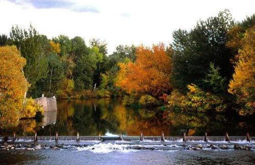 Morning Star Cottage with RV parking in Star Idaho - Foto 18