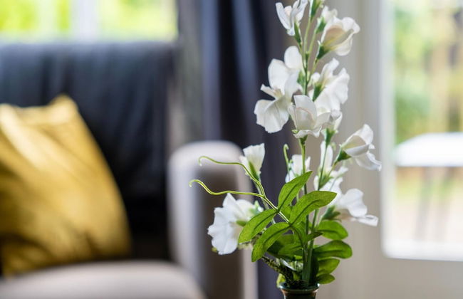 Chalet in Stegeren Near Heathlands - Photo 21