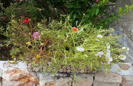 Holiday Home Rubinić - Foto 20