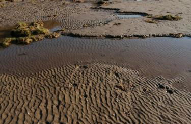 Field Edge Barn - Photo 11