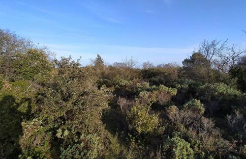 Niché au cœur de la Provence - VERNEGUES - Foto 10