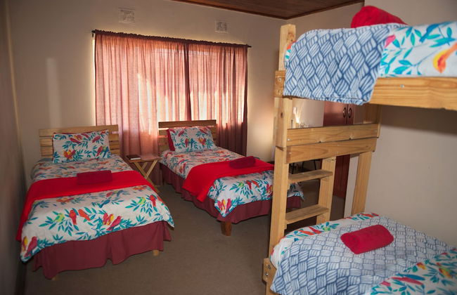 Near2Numbi - Foto 15