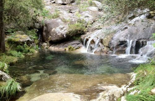 Casinha Nº461 - Foto 46