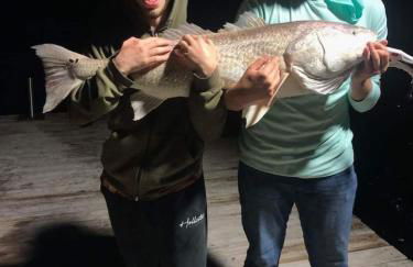 Waterfront Escape - Margie 1974 Silver Streak - Foto 21