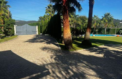 Quinta Das Palmeiras - Foto 42