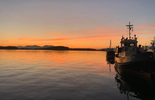 Tawny Owl Pod with Hot Tub - Foto 66