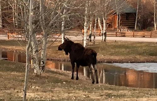 Deluxe Yurt Rental for Four near Snake River in Rigby, Idaho - Foto 19