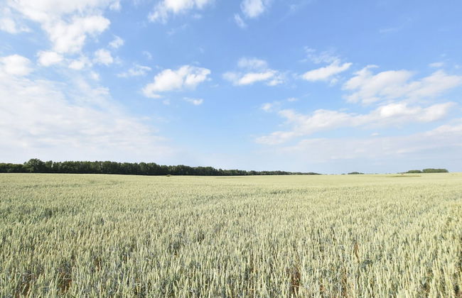 Ferienhaus mit Eigener Terrasse in Russow - Foto 18