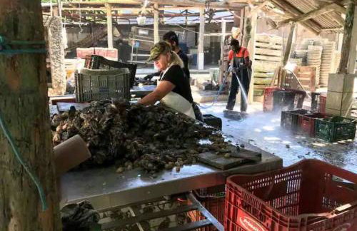 Casa Alto Padrão Frente A Praia - Foto 33