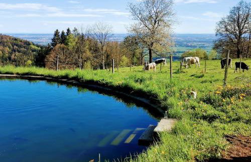 Troidkasten am Grandsberg - Foto 10