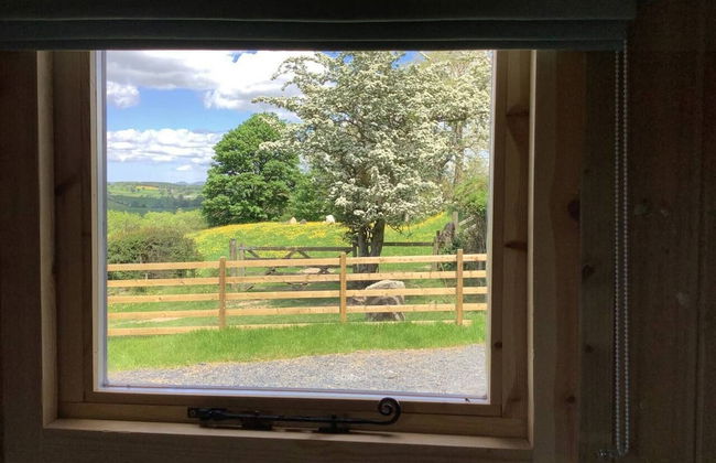 The Shepherds Hut at Hafoty Boeth - Foto 19