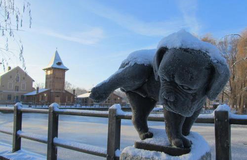 Ferienhaus am Mühlenteich - Foto 14