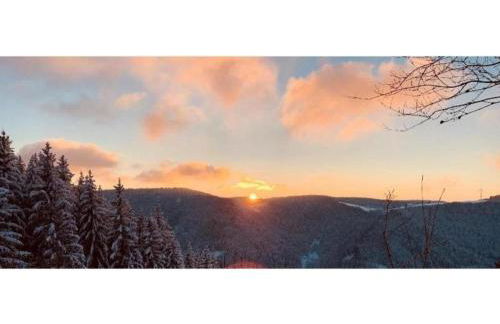 Apartment in Gutenbach With Nearby Forest - Foto 51