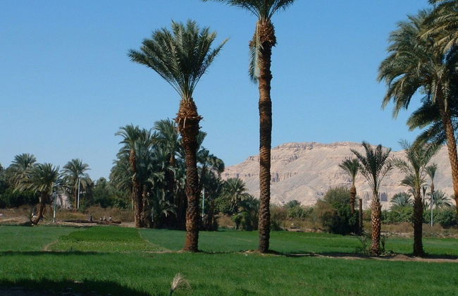 Home Sweet Home Luxor Apartments - Foto 26