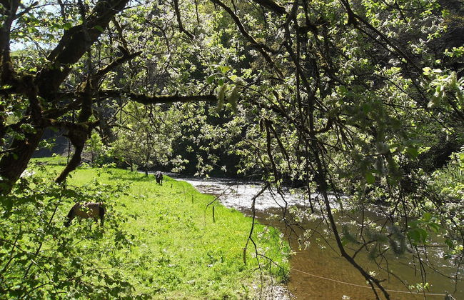 Ferienhaus Nettes Landhaus - Photo 19