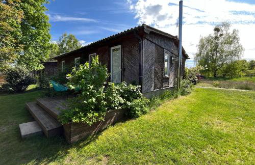 Haus 8 am Grimnitzsee mit Sauna - Photo 31