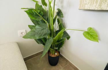 Vixen Apartment - Foto 16