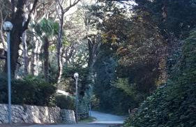 SOTTO IL PINO - Foto 23