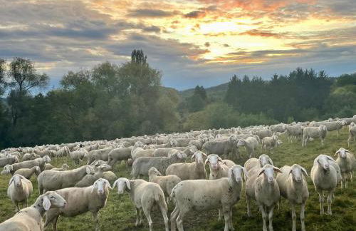 Ferienwohnung Ermstal - Foto 18