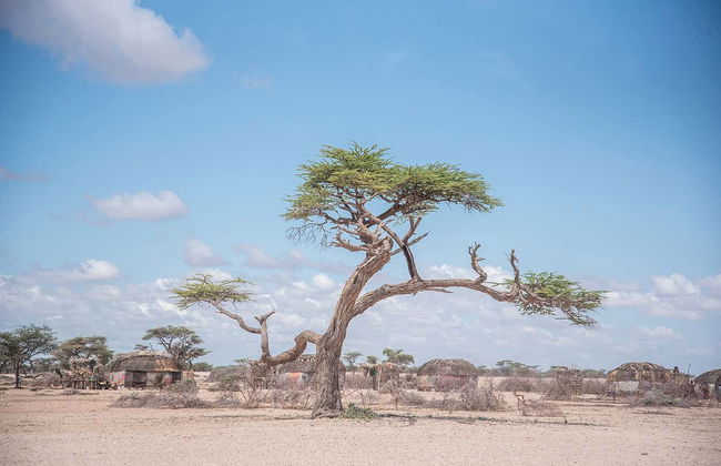 Tour privado de 9 días por el norte de Kenia - Foto 7