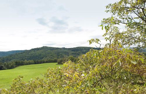 Bergoase Panorama-Apartments - Photo 16