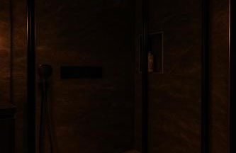 Jungle Room Strasbourg - Évasion Tropicale - Sauna Jacuzzi Balnéo - Foto 29