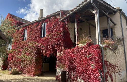 Domaine les Pierres - Foto 10