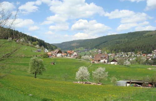 Ferienanlage Freyenhöfe - Foto 27