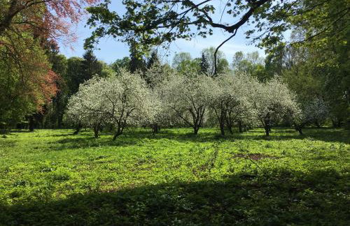 Oficyna Winiarza - Foto 32