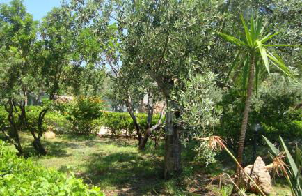 Villa Su Navru - Photo 44