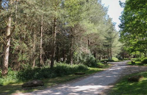 Sycamore Lodge - Foto 37