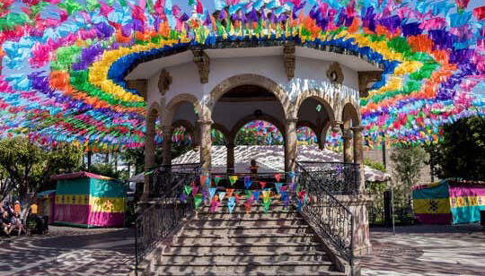 Explore local art, music, and culture