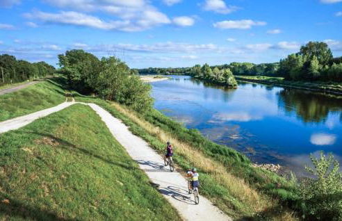 Gite Proche De Beauval - Foto 16