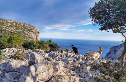 Appartamento tra mare e montagna - Foto 15