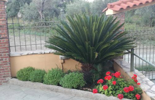 Achladi Beach - Photo 80