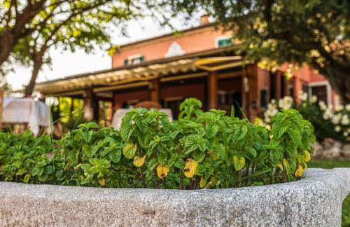 Agri Divin Amore - Foto 21