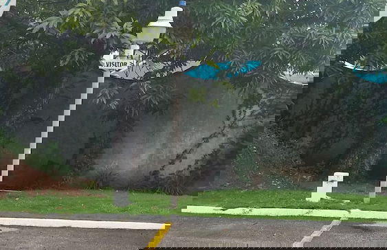 Rest Up Beach Studio At Montego Bay Club Resort - Foto 9