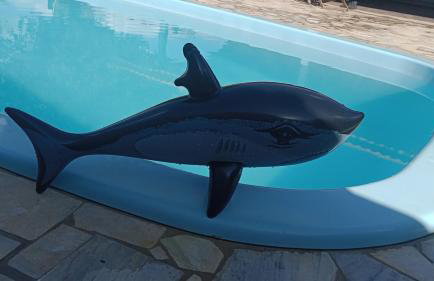 Chácara Raízes - Photo 32