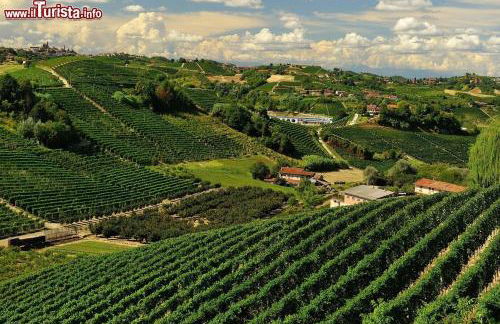 AleKS friendly house - Foto 35