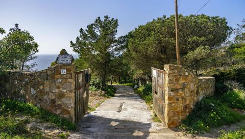 WHome Wilderness Escape: Secluded Haven for Remote Work - Foto 4