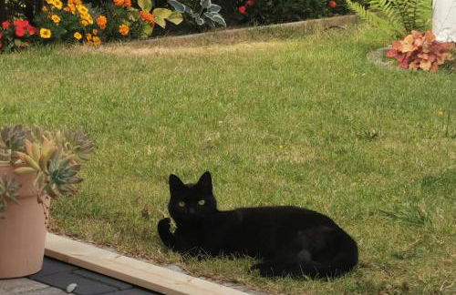 Urlaub im Ruhrgebiet - Foto 15