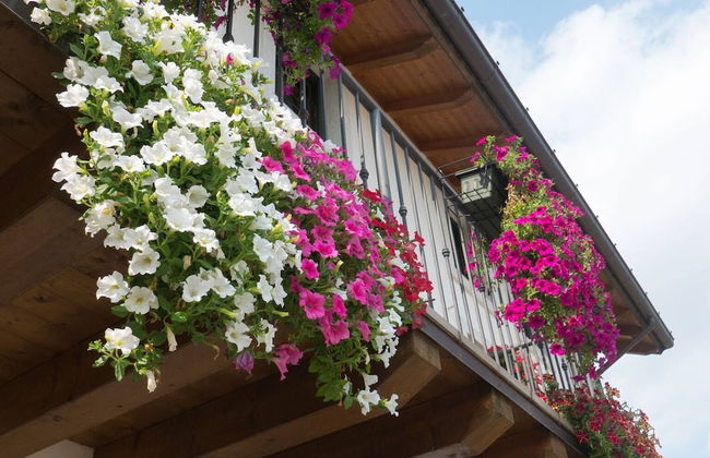 Residence Caporale - Photo 15