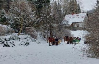 Villa Eva & Lilou Pod Rysianką - Foto 43
