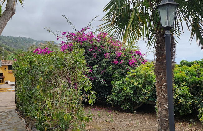 Oasis Hill Botanical Garden - Foto 67