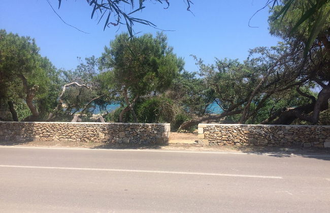 Masseria Villa - Maison by the sea - Photo 22