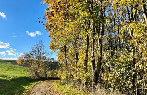 Holiday Home Nassauer Forsthaus by Interhome - Foto 35