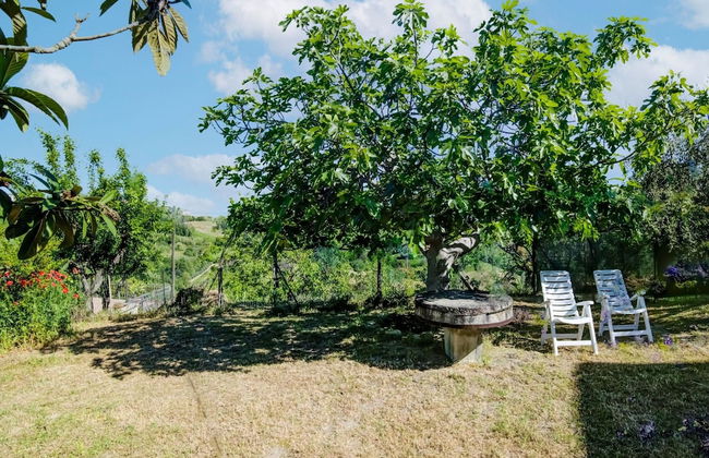 Holiday Home in Torchiaro With Garden - Foto 32