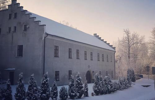 Zamek w Dzięgielowie - Foto 21